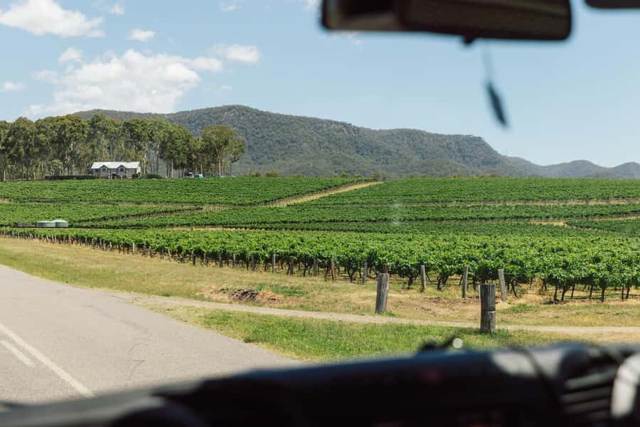 From Sydney: Full-Day Hunter Valley Wine Tour & Lunch - The Drive Up: The Wyong Break and Why Breakfast Helps