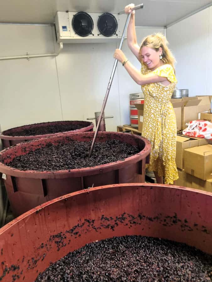 From Sydney: Hunter Valley Beer & Wine Group Tour - Key things that make this Hunter Valley day tour work