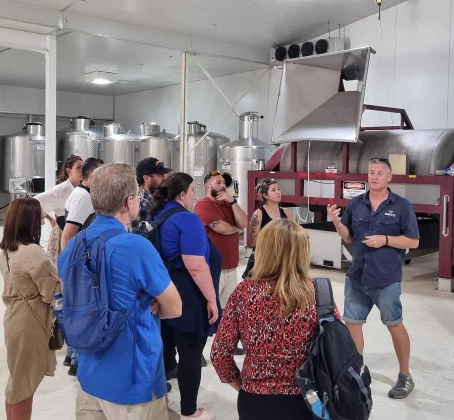 From Sydney: Hunter Valley Beer & Wine Group Tour - Vineyard and winery time: guided touring before you taste