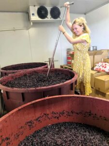 From Sydney: Hunter Valley Wine, Gin & Food Tastings Tour - Pickup, timing, and the real meaning of a 690-minute tour