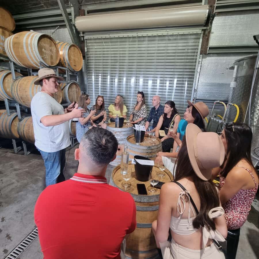 From Sydney: Hunter Valley Wine, Gin & Food Tastings Tour - The first winery stop: a short production tour, then a full hour of tasting