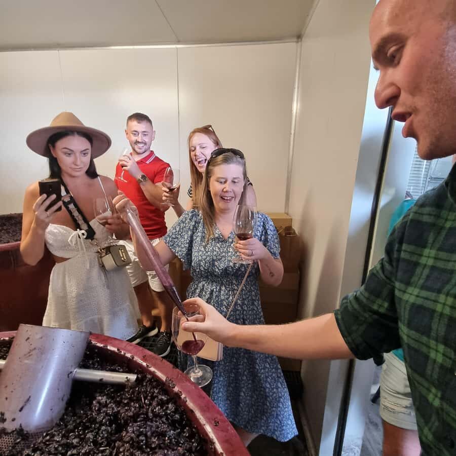 From Sydney: Hunter Valley Wine, Gin & Food Tastings Tour - Gin and vodka tasting: fun when it clicks, less fun when it doesn’t