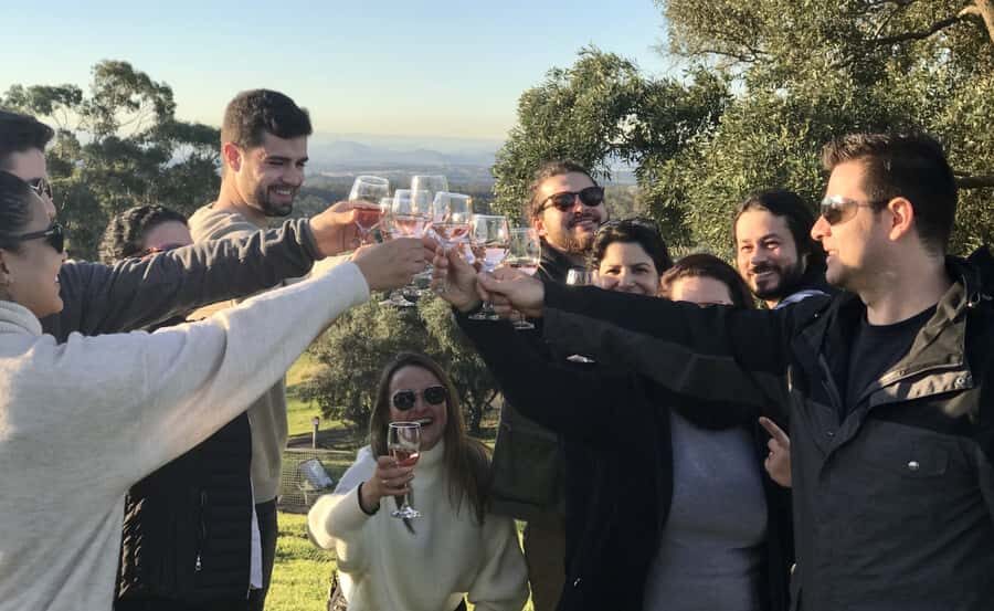 From Sydney: Hunter Valley Wine Tasting & Winery Picnic Tour - Key things to know before you go