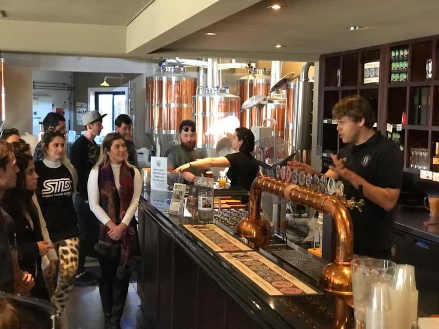 From Sydney: Hunter Valley Wine Tasting & Winery Picnic Tour - Who should book this Hunter Valley tour—and who should pick a different style