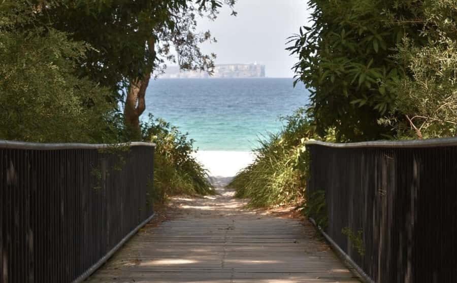 From Sydney: Jervis Bay Day Tour and Dolphin Watching Cruise - Who this tour fits best (and who should think twice)