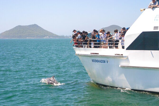 From Sydney: Port Stephens Dolphin, Koalas, Lunch & Sandboarding - Key Points That Matter Before You Go