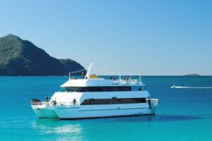 From Sydney: Port Stephens Dolphin, Koalas, Lunch & Sandboarding - Getting There From Sydney: The 6:45am Start and Long Coach Ride