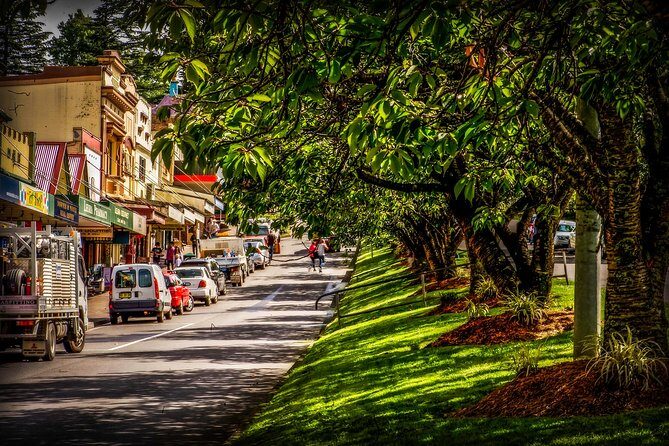 Fully Inclusive Blue Mountains Private Tour inc Scenic World & Featherdale Entry - A 10-hour Blue Mountains escape built for fewer hassles