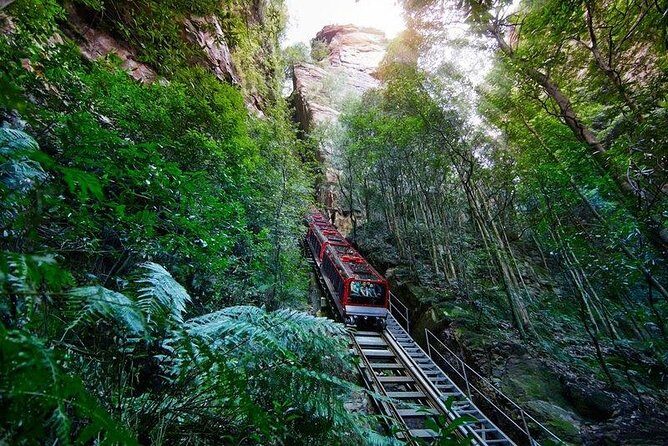 Fully Inclusive Blue Mountains Private Tour inc Scenic World & Featherdale Entry - Scenic World Blue Mountains: cable cars and the steepest railway