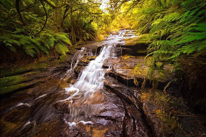 Fully Inclusive Blue Mountains Private Tour inc Scenic World & Featherdale Entry - The Giant Stairway option: walk it down or stay with the views