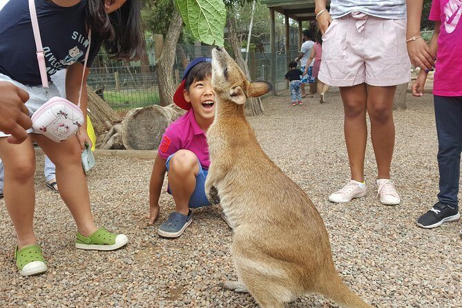 Fully Inclusive Blue Mountains Private Tour inc Scenic World & Featherdale Entry - Featherdale Wildlife Park: hands-on Aussie wildlife time