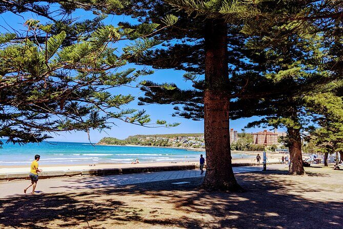 Golden Beaches and Ocean Vistas MANLY AND NORTHERN BEACHES PRIVATE TOUR - Key highlights