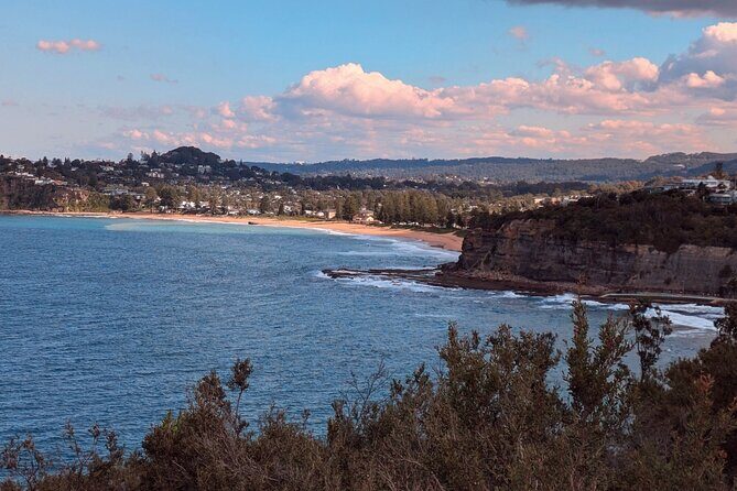 Golden Beaches and Ocean Vistas MANLY AND NORTHERN BEACHES PRIVATE TOUR - Manly Cove to Shelly Beach: Rock Pools and a Marine Reserve Stroll