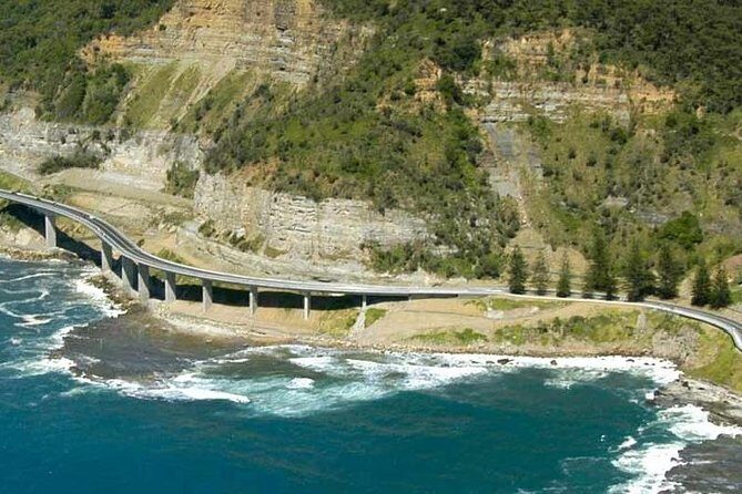 Grand Pacific Trike Tour - The trike details that matter: safety, comfort, and what the ride feels like