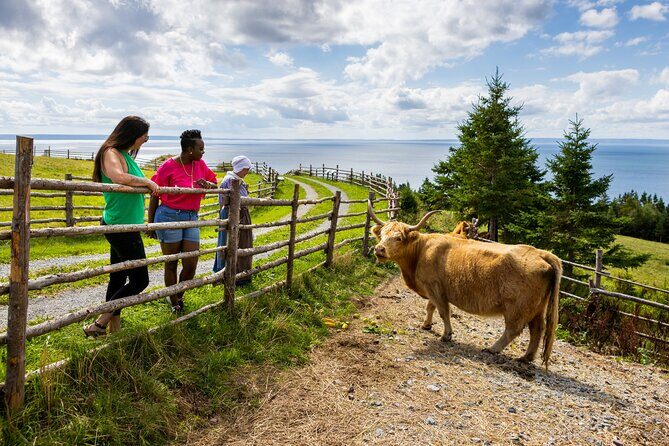 Guided Highland Village and Baddeck Bus Tour for Cruise Excursion - The Drive Isn’t Wasted Time: Photo Stops and Scenic Breaks