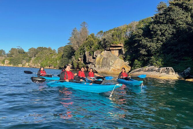 Guided Kayak Tour of Manly Cove Beaches - Key things you’ll remember