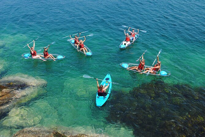 Guided Kayak Tour of Manly Cove Beaches - 2.5 hours on the water near Manly: what the day feels like
