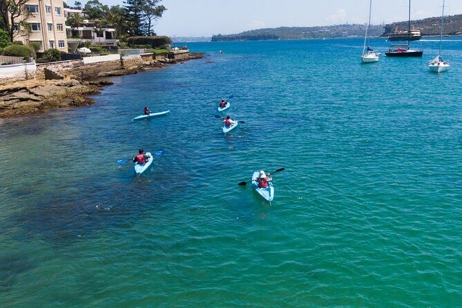Guided Kayak Tour of Manly Cove Beaches - Store Beach and the in-between paddle: three beaches without the rush