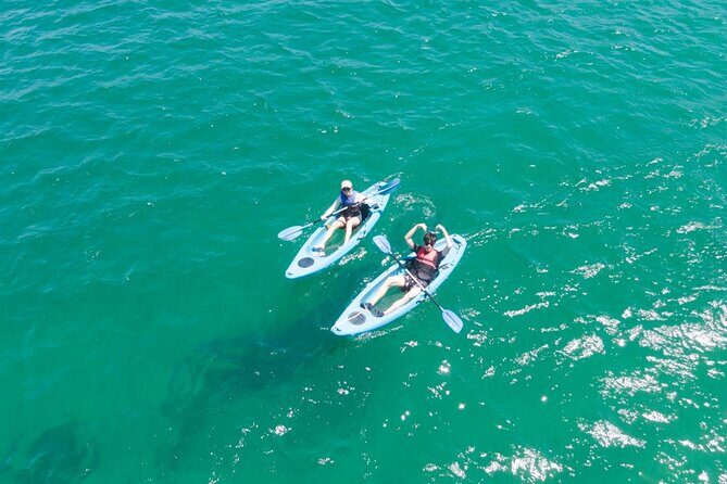 Guided Kayak Tour of Manly Cove Beaches - When wind makes it tough: paddling effort and real safety checks