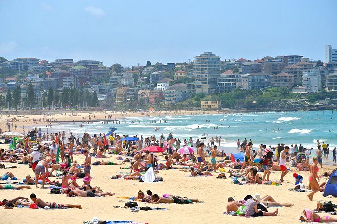 Half-Day or Full-Day Private Guide Hire From Sydney - A Private Day You Actually Control