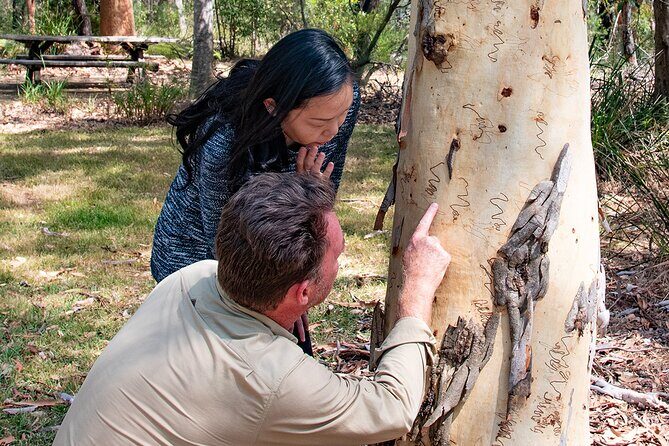 Horse Riding, Koalas & Kangaroos - Wild Australia: Private Tour - Walkabout Wildlife Sanctuary: koalas, kangaroos, and the thrill of getting close