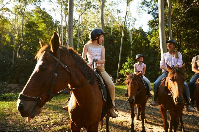 Horse Riding, Koalas & Kangaroos - Wild Australia: Private Tour - Warrah Lookout flying fox colony: short stop, big payoff