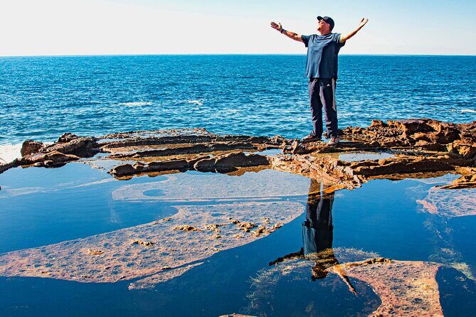 Horse Riding, Koalas & Kangaroos - Wild Australia: Private Tour - Harbour viewpoints at the end: Blues Point Reserve and optional beach time