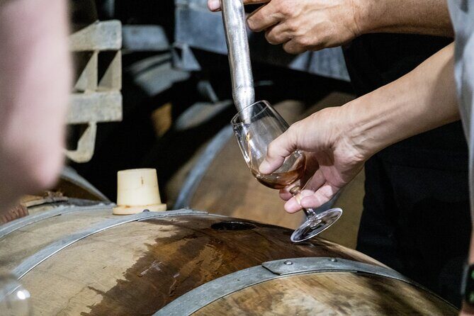 Hunter Valley All Inclusive, Wine, Chocolate Tasting and Lunch - One Early Departure From Sydney: 7:00am Pickup and an 11.5-Hour Day