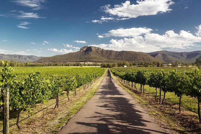 Hunter Valley Highlights Private Wine Tour from Sydney - Cafe Enzo lunch: plan for taste, but expect to pay
