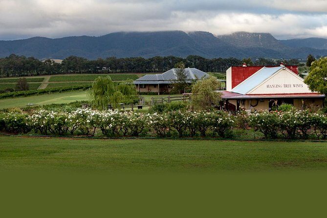 Hunter Valley Highlights Private Wine Tour from Sydney - Price and logistics: is $700 per person worth it?