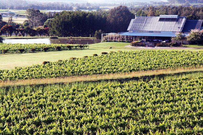 Hunter Valley Private Wine Tasting Tour from Sydney - Why This Hunter Valley Trip Feels Like a Real Day Trip