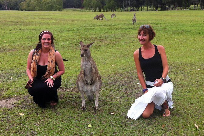 Hunter Valley Private Wine Tasting Tour from Sydney - Leaving Sydney Early: Harbour Bridge, Live Commentary, and a Smooth Exit