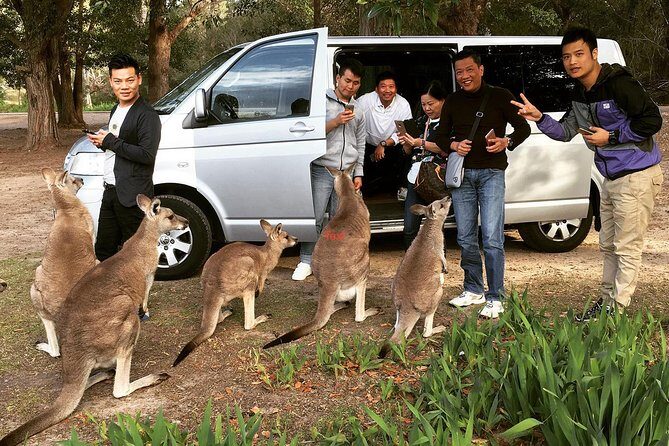 Hunter Valley Private Wine Tasting Tour from Sydney - Lunch Time: Plan for Your Wallet and Your Mood