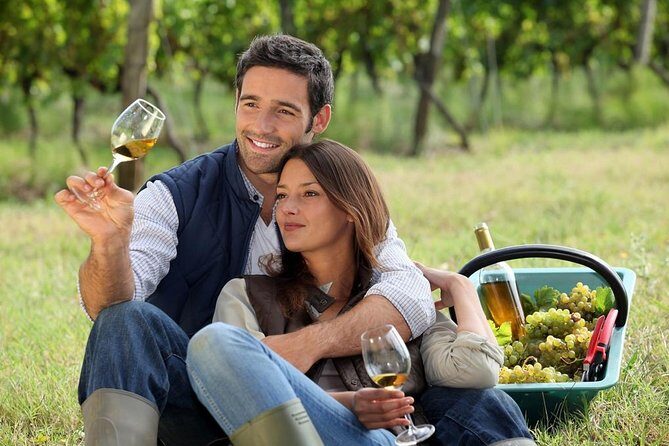 Hunter Valley Private Wine Tasting Tour from Sydney - The Driver-Guide Factor: Glenn Makes It Personal (and Safe)