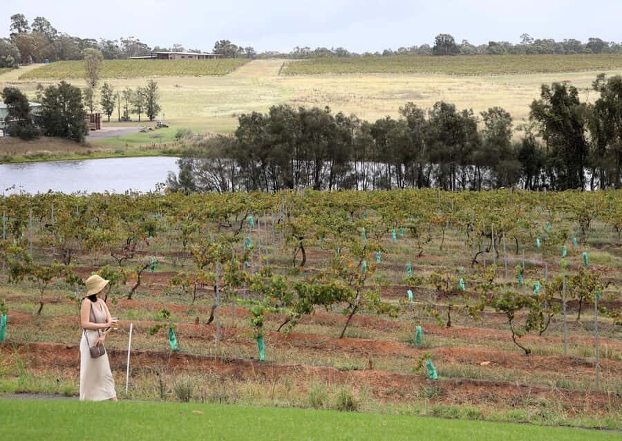 Hunter Valley: Wine, Chocolate and Lunch All Inclusive Tour - Hunter Valley Gardens: Shopping, Sightseeing, and a Breather