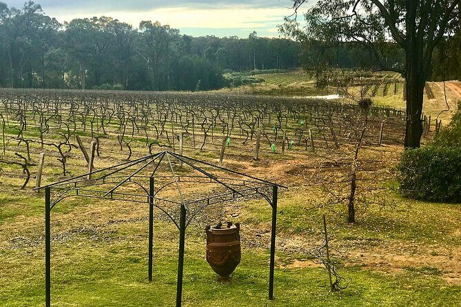 Hunter Valley Wine Tour from Sydney: 3 Wineries & Vineyard Picnic - Price and value: what you’re paying for (and what you’re not)