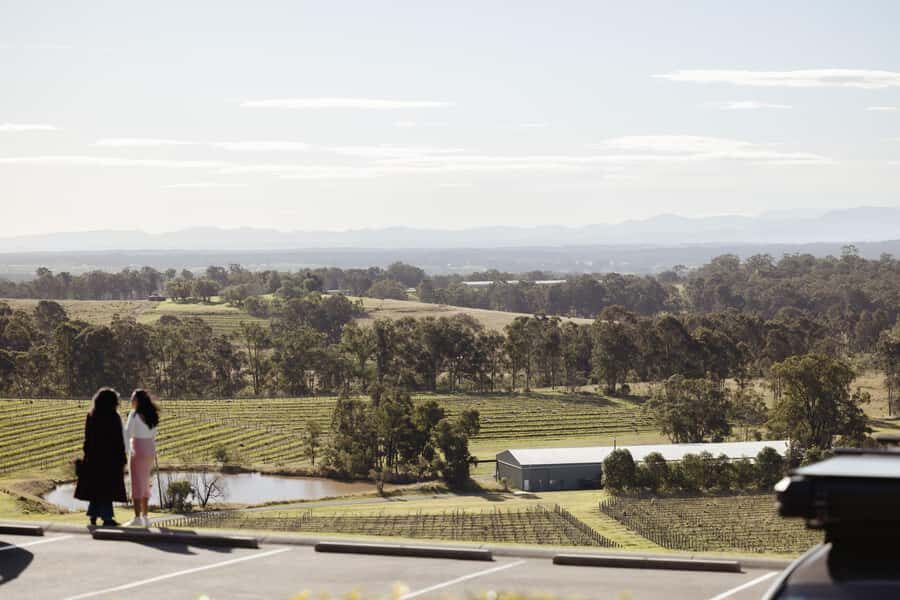 Hunter Valley: Wine Tour with 2-Course Lunch, Choc & Cheese - Who should book this Hunter Valley wine day trip?