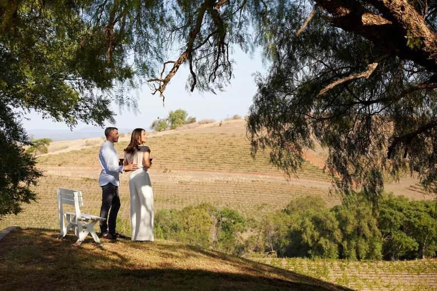 Hunter Valley: Wine Tour with 3 Tastings and Garden Lunch - Price and Value: Is $166 Fair for What You Get?