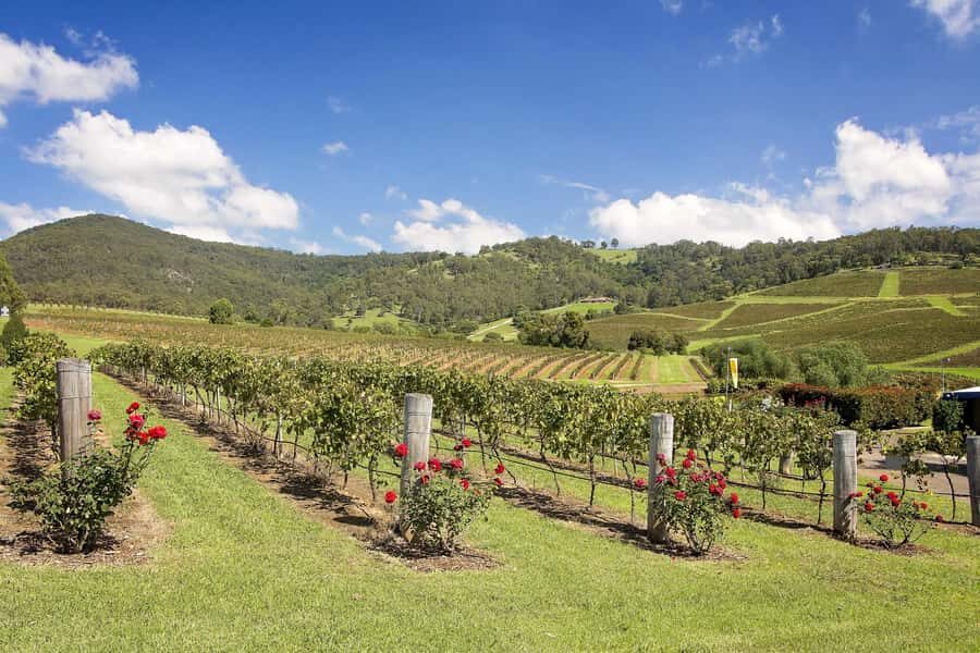 Hunter Valley: Wine Tour with 3 Tastings and Garden Lunch - Optional Stops and Where Cash Helps