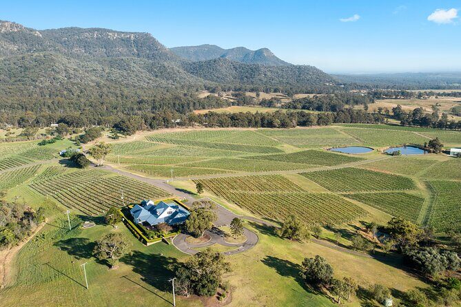 Hunter Valley Wines, 2-Course Lunch, Cheese & Chocolate Tour - Audrey Wilkinson Vineyard: Historic Vines and a Guided First Tasting