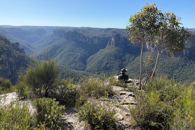 Intimate Blue Mountains Wild Kangaroos & Sunset for Nature Lovers - Aussie Picnic Lunch and Snacks: What You Eat and What to Bring