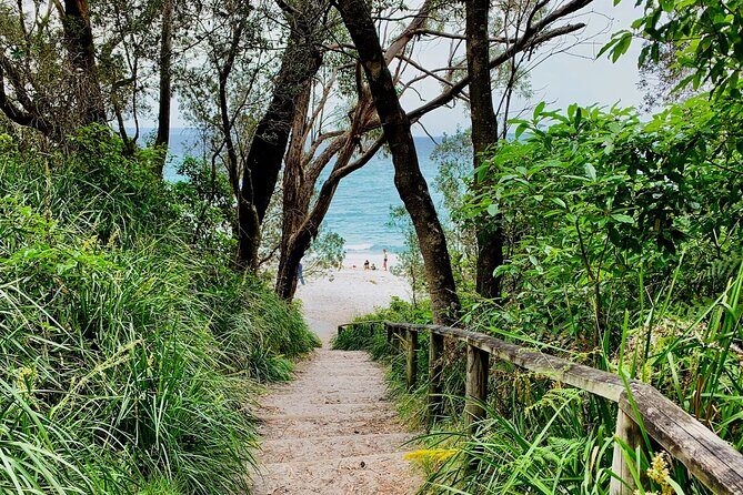 Jervis Bay, Kiama & Kangaroo Valley Day Trip From Sydney-PVT - Kangaroo Valley and Hampden Bridge: Green Hills Without the Rush