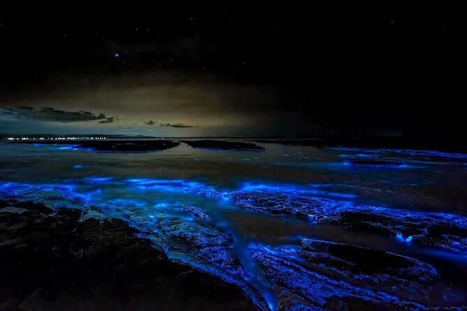 Jervis Bay, Kiama & Kangaroo Valley Day Trip From Sydney-PVT - Who This Tour Suits Best (and Who Might Need a Plan B)