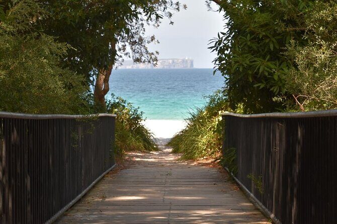Jervis Bay Tour with Dolphins, Kangaroos & World's Whitest Beach - The 1.5-Hour Dolphin Watch Cruise: How It Usually Goes