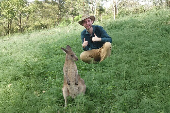 Kangaroo Wildlife Half Day Small Group Tour From Sydney - Key highlights worth knowing