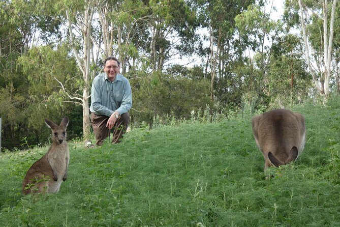 Kangaroo Wildlife Half Day Small Group Tour From Sydney - Lake Macquarie is the star for wild-kangaroo viewing