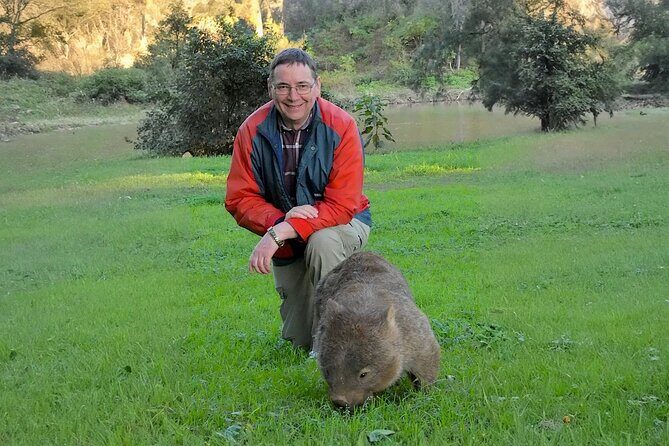 Kangaroo Wildlife Half Day Small Group Tour From Sydney - What Oliver’s approach likely adds to your day