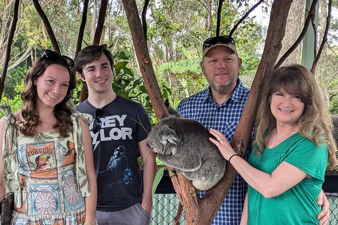 Koala & Kangaroos Experience, Waterfalls and Scenic Train Journey - Key things that make this day work