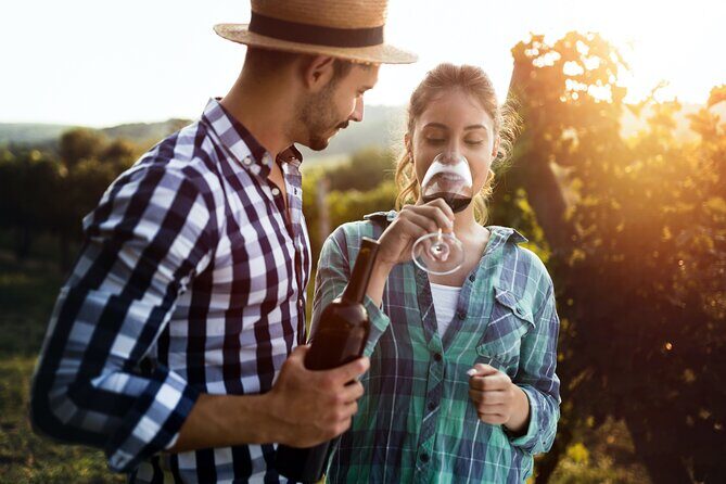 Luxury Hunter Valley Wildlife & Wine Tasting Tour from Sydney - Timing and comfort: the long drive factor