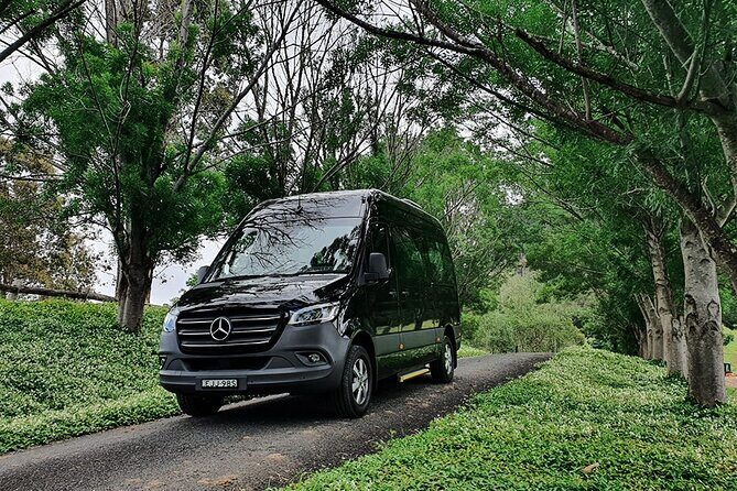 Luxury Mini Bus - Sydney Airport Transfers - Key Highlights You’ll Notice Fast